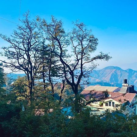 The Travelista Shimla Exterior foto
